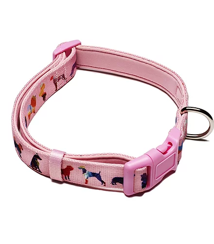 Dog Collar