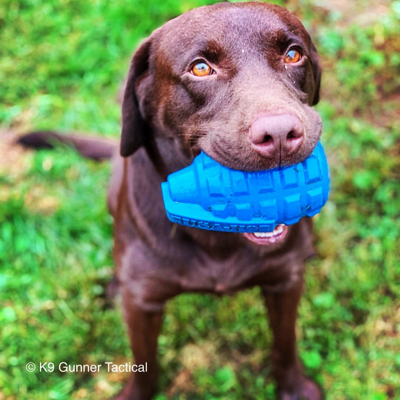 Flying Saucer Treat Dispenser Chew Toy